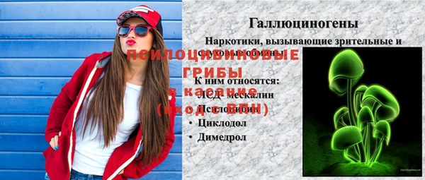 mdpv Белокуриха
